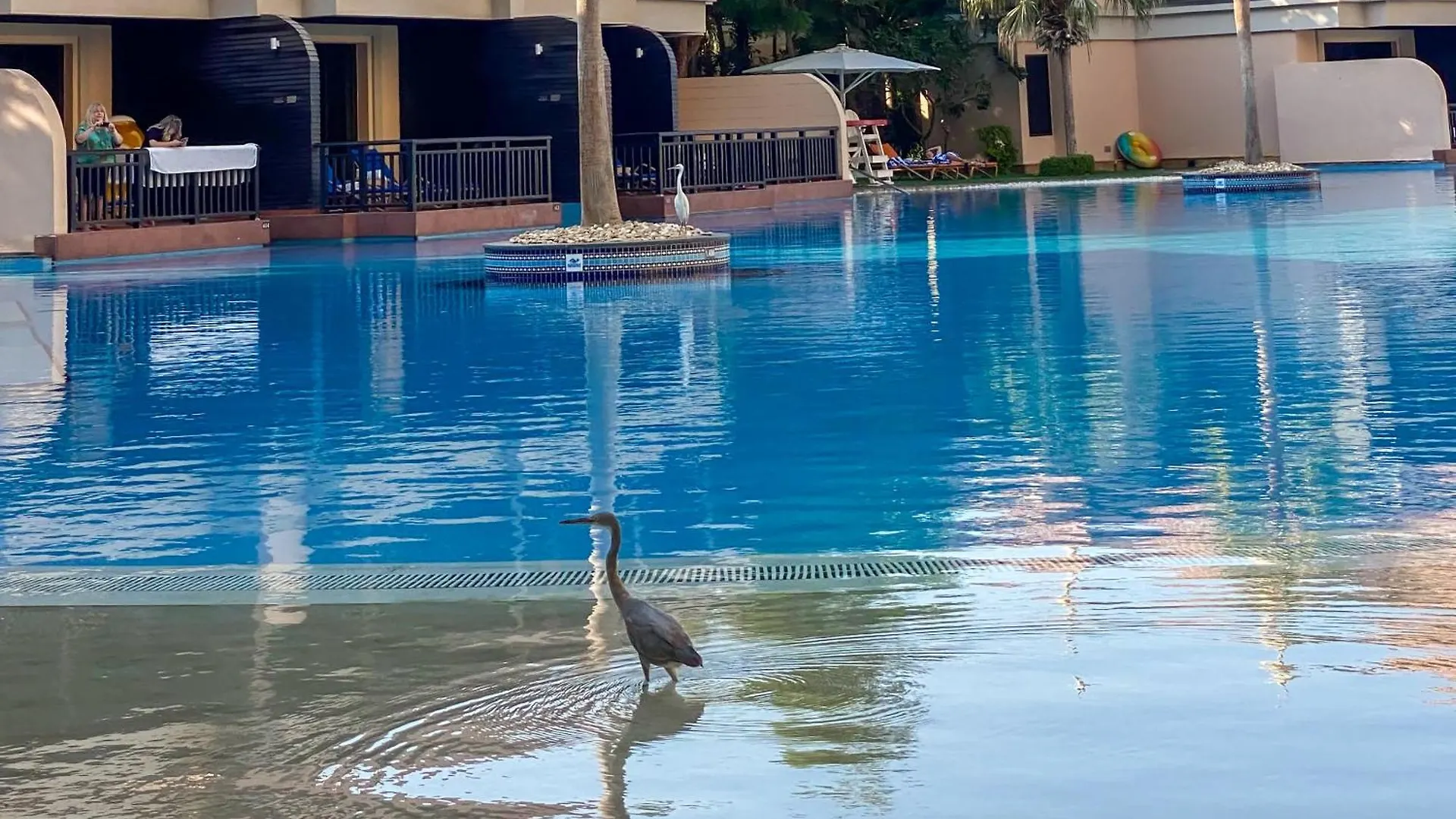1Br Sea & Atlantis View Apartment At 5-Star Resort Dubai 0*,  United Arab Emirates